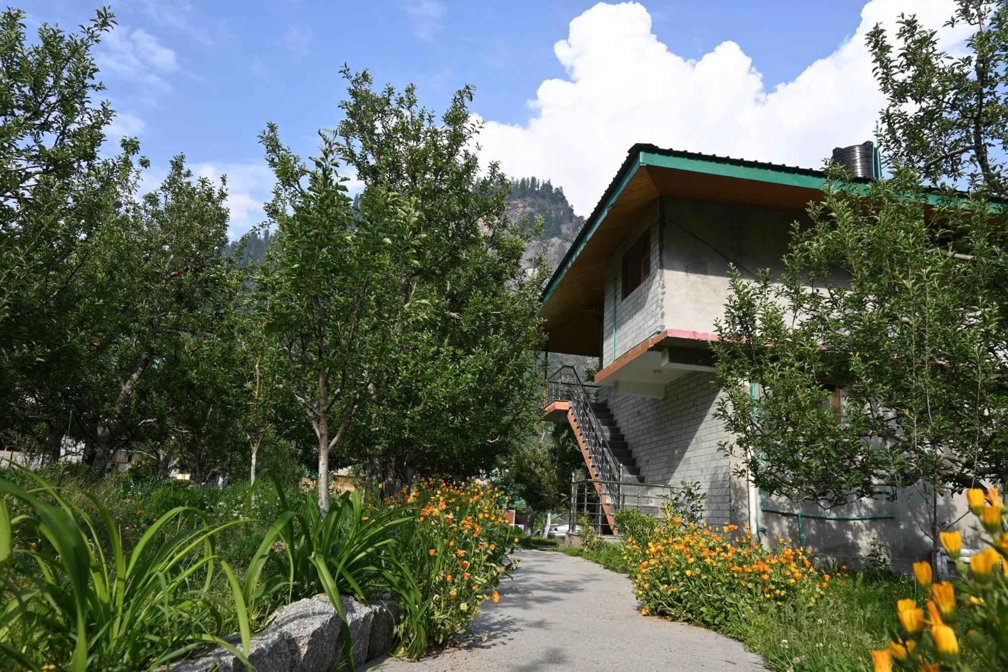 Cascade Mountain Retreat Manali Panzió Kültér fotó