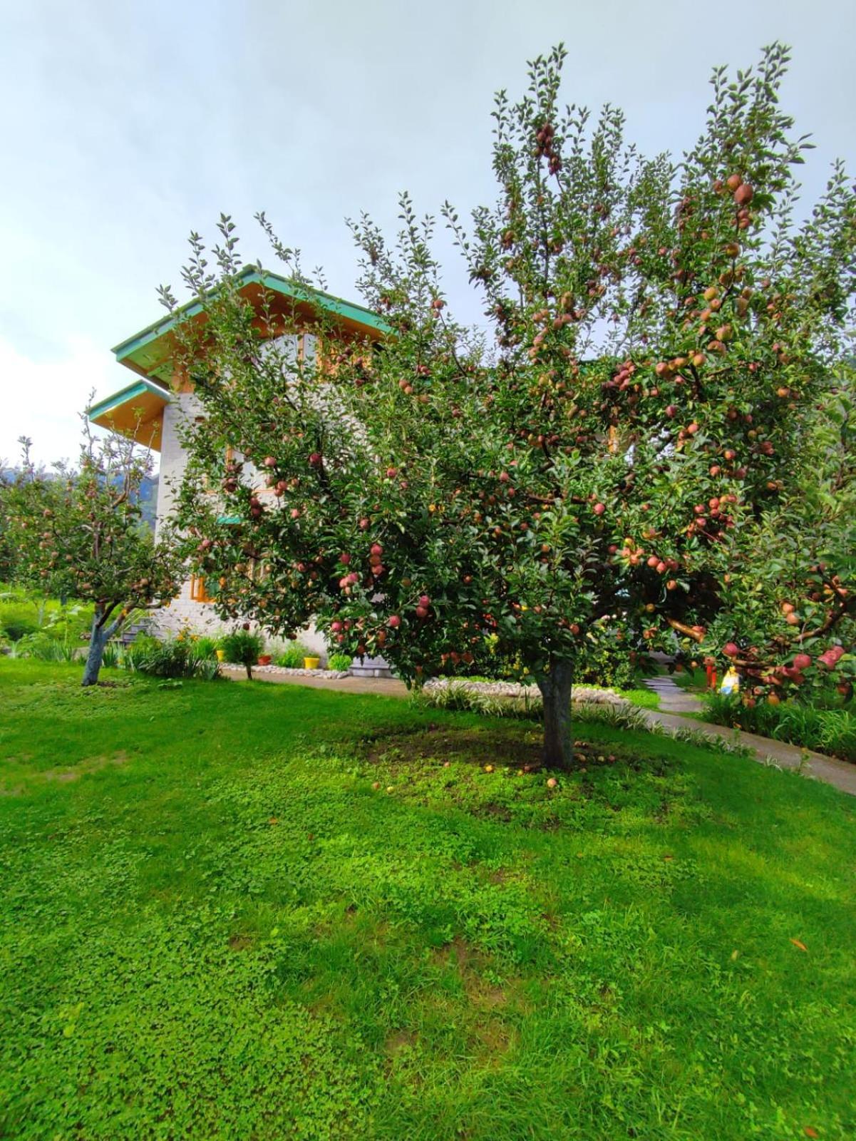 Cascade Mountain Retreat Manali Panzió Kültér fotó