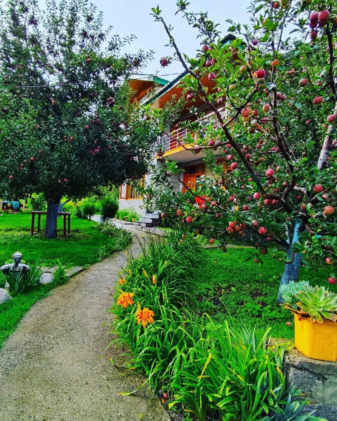 Cascade Mountain Retreat Manali Panzió Kültér fotó